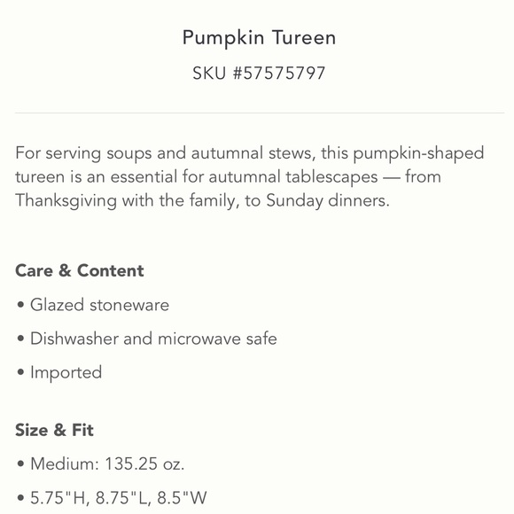 Pumpkin Tureen from Anthropologie. M - Picture 7 of 7